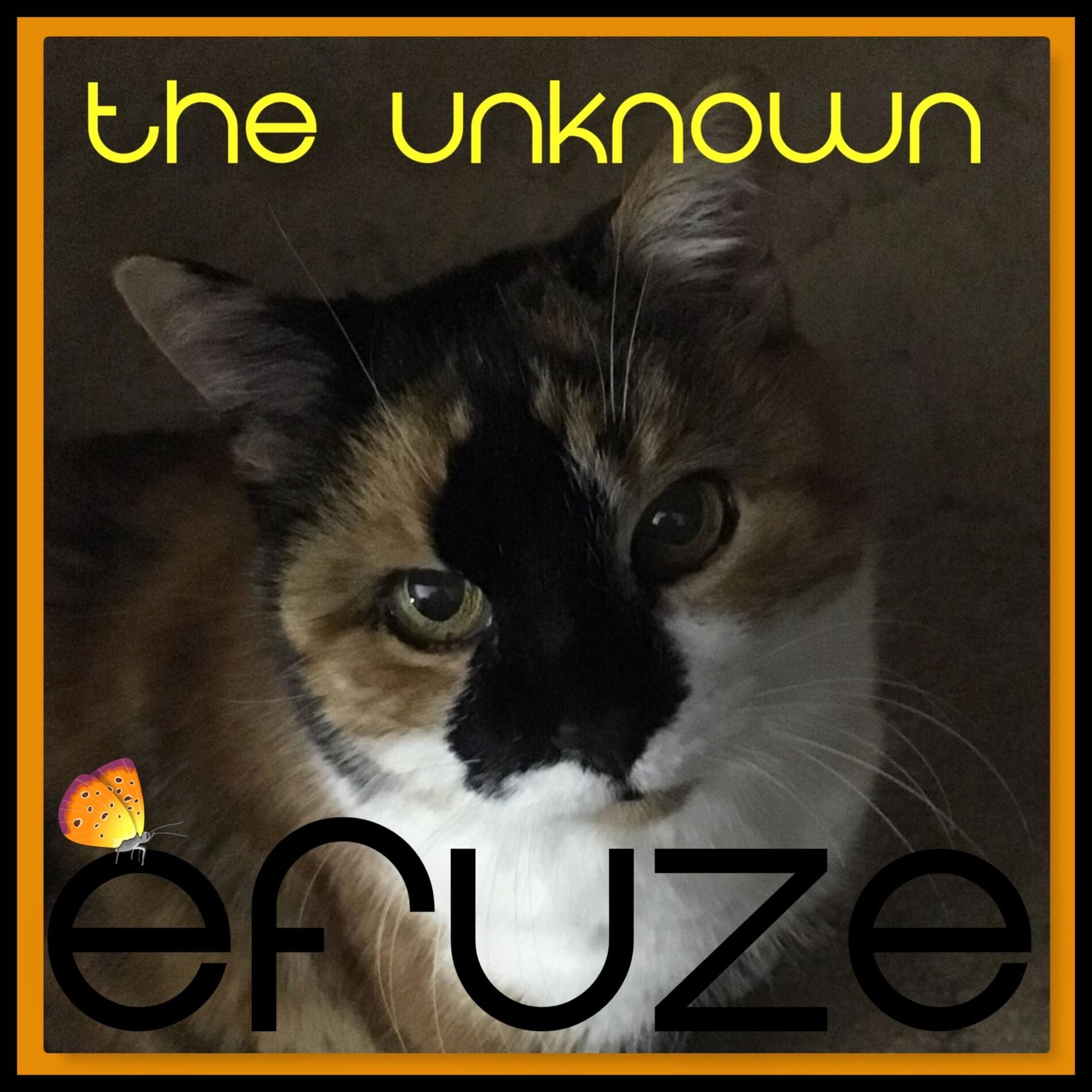 Album cover of The Unknown