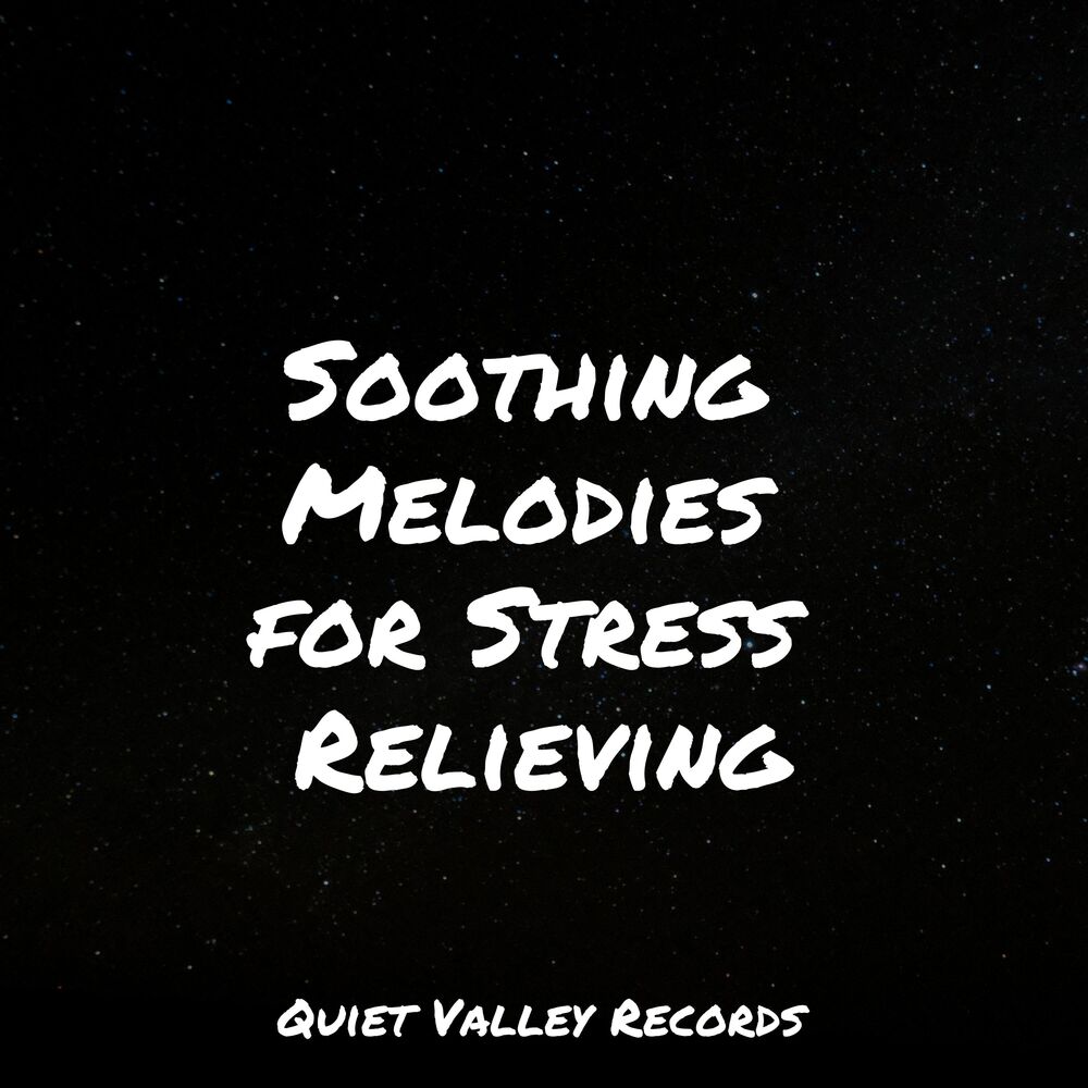 Picture of Soothing Melodies for Stress Relieving