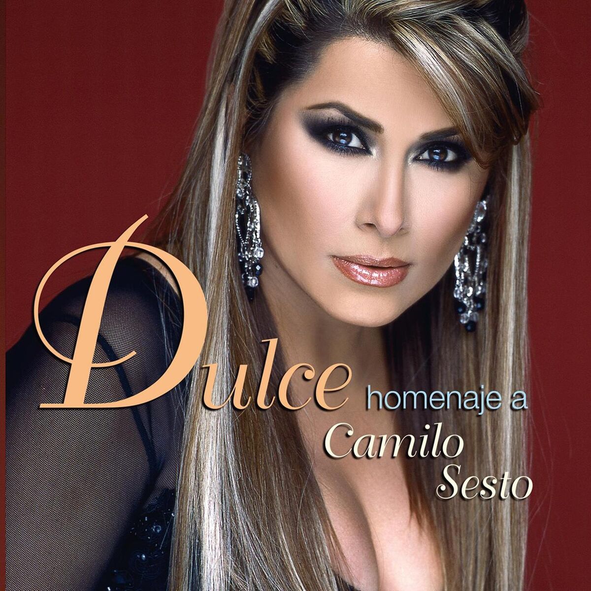 Album cover of Dulce Homenaje A Camilo Sesto