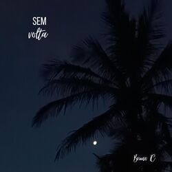 Cover of Sem volta