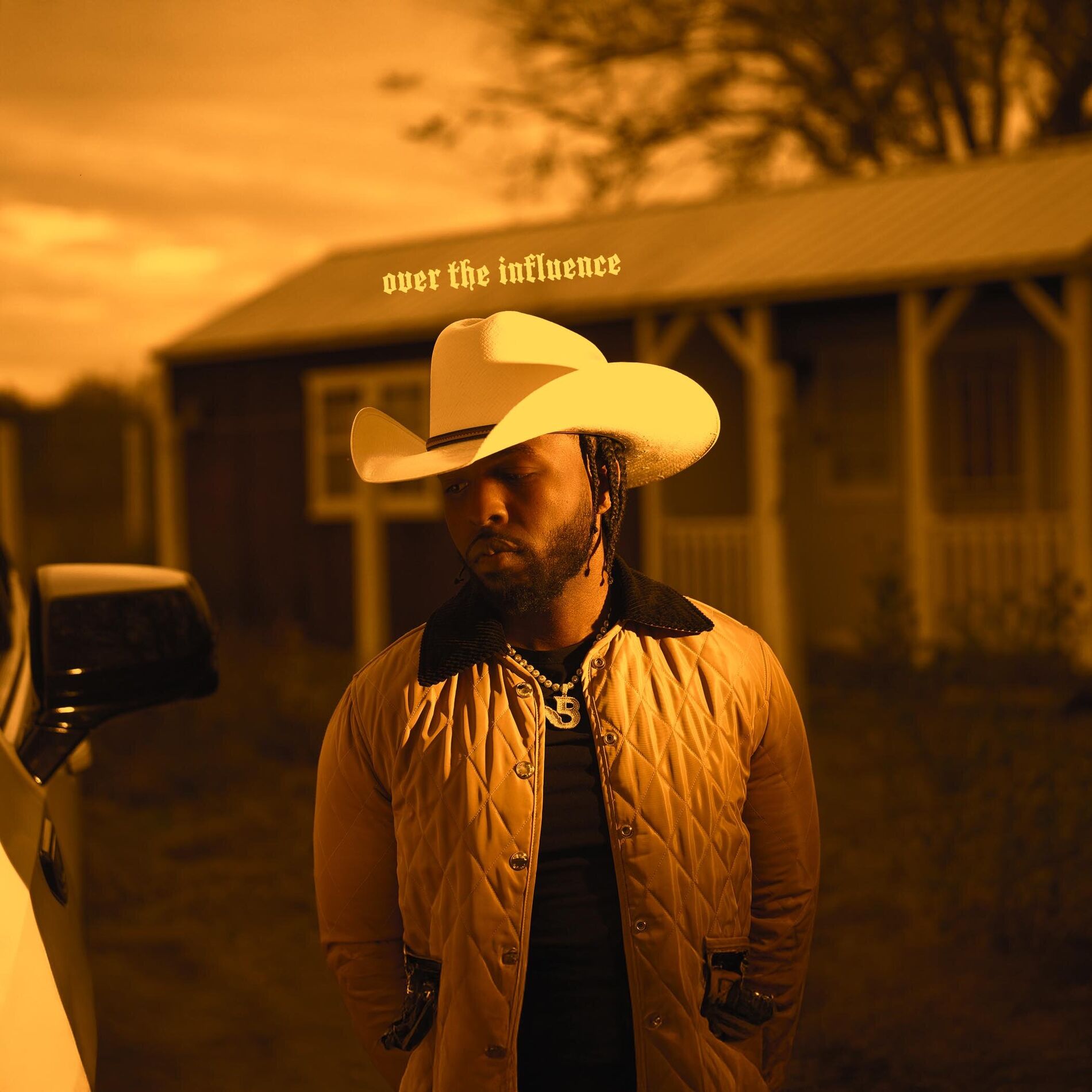 Album cover of Over the Influence