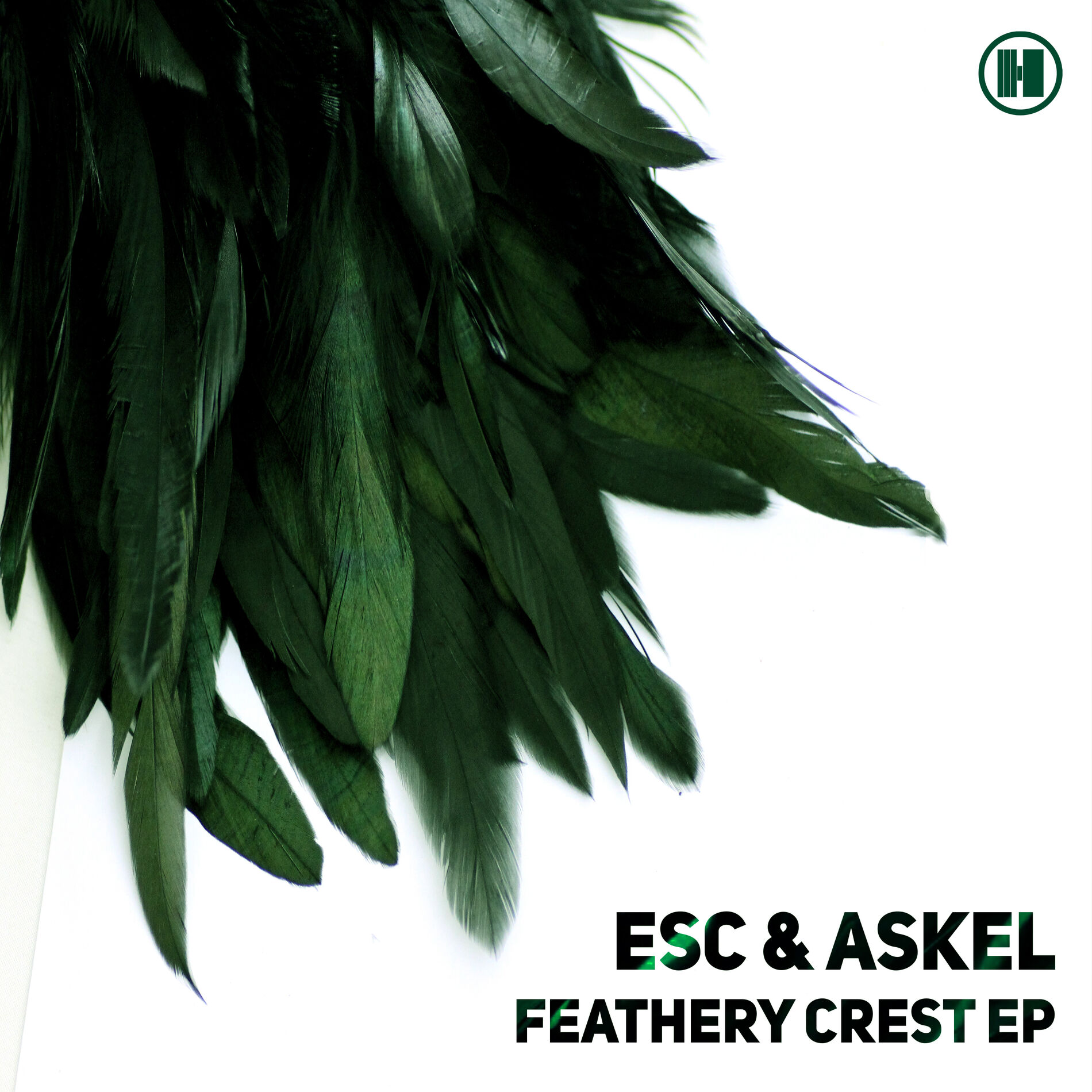 Album cover of Feathery Crest EP