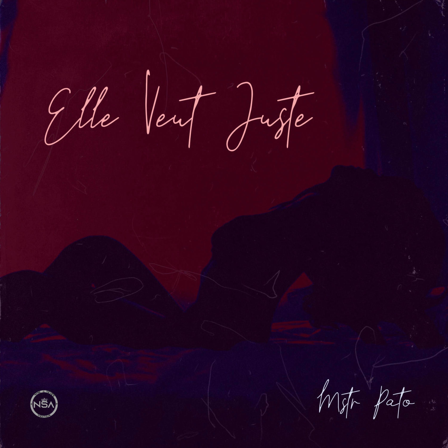 Album cover of Elle Veut Juste (feat. Emy)