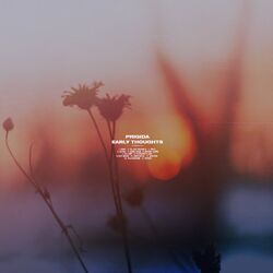 music cover