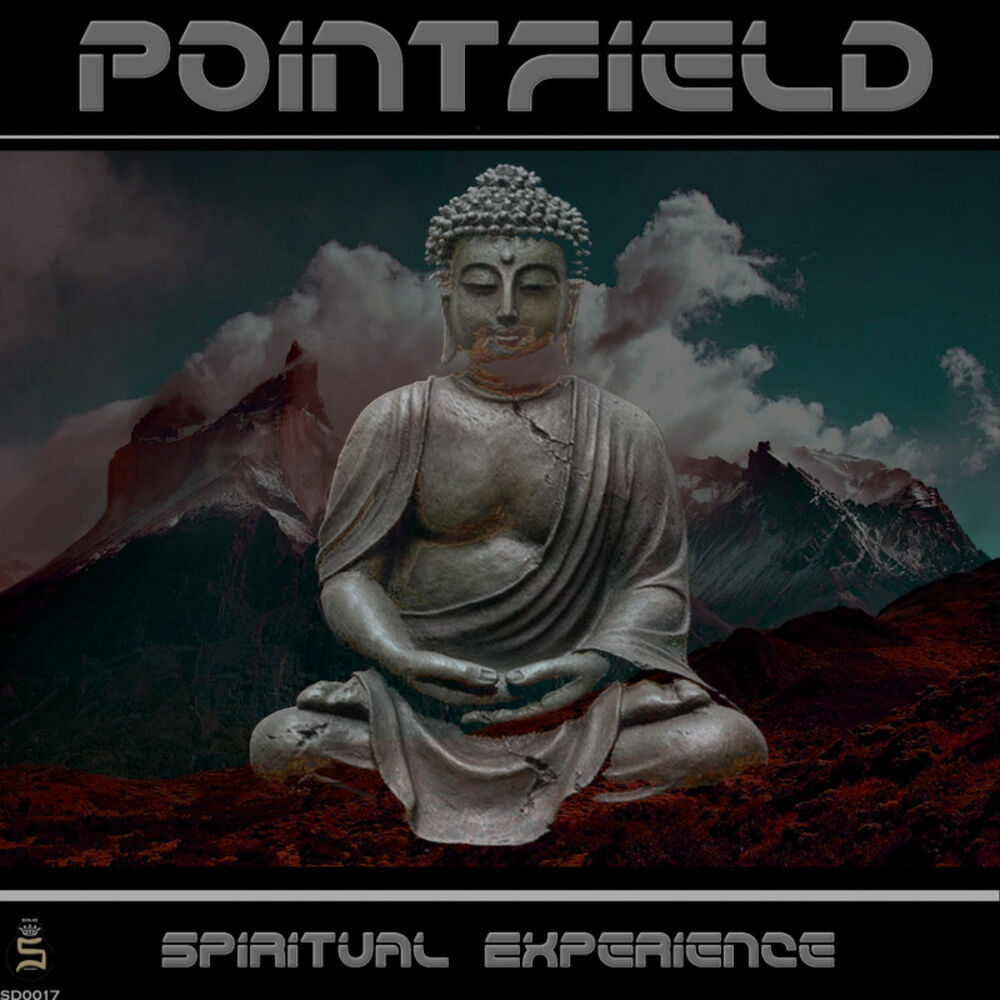 Picture of Spiritual Experience
