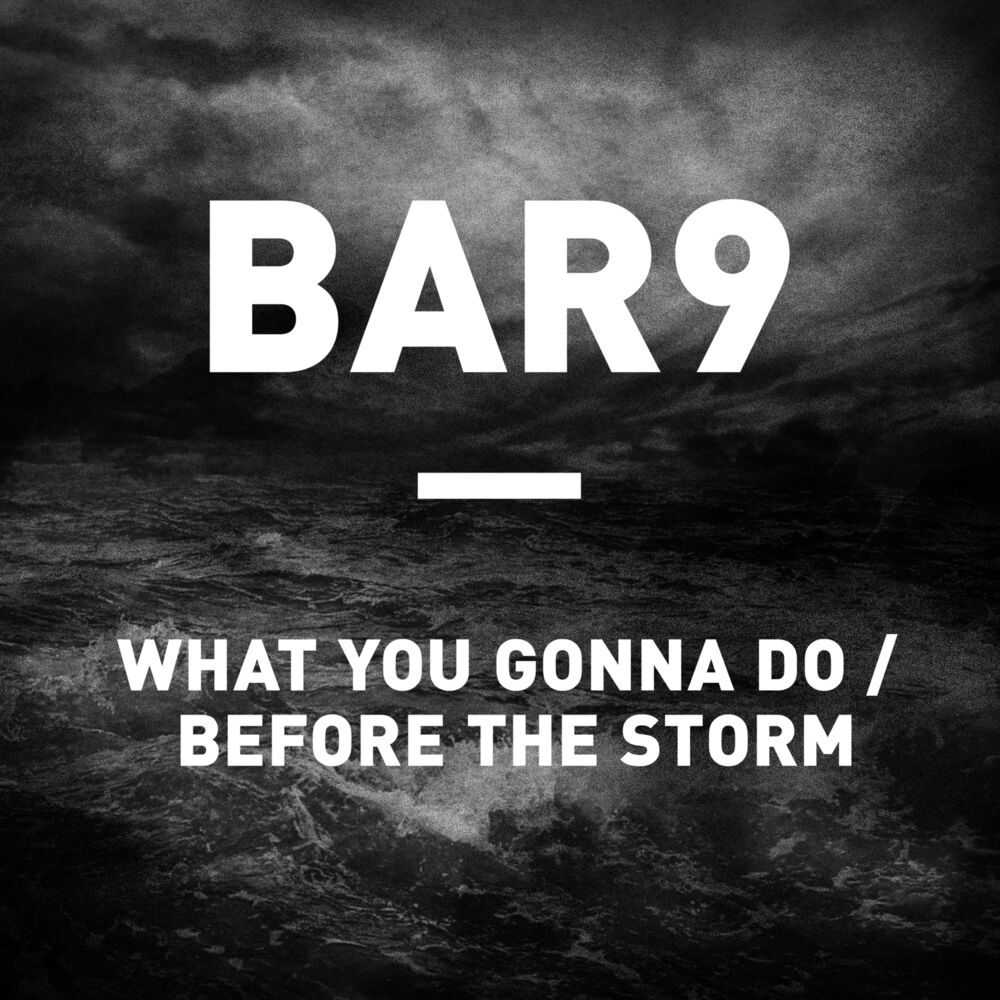 Picture of What You Gonna Do / Before the Storm
