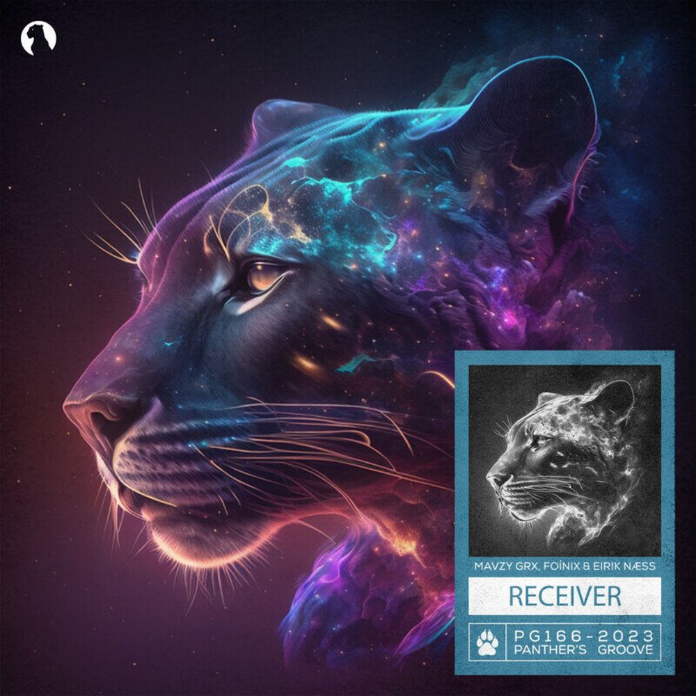 Album artwork for Receiver by mavzy grx