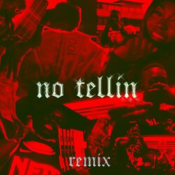 Cover of NO TELLIN (REMIX)