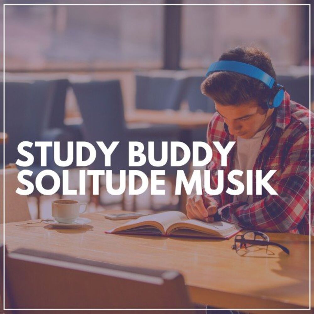 Picture of Study Buddy Solitude Musik