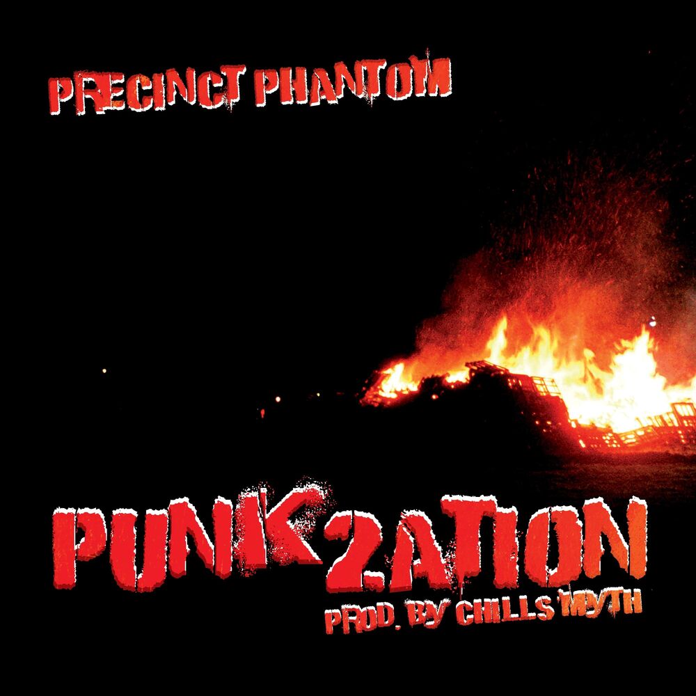 Picture of Punk2ation