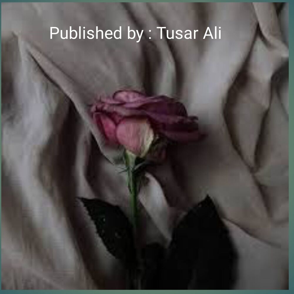 Picture of Death Rose