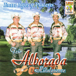 Cover of Entre Lujos y Placeres