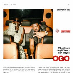 Cover of Ogo