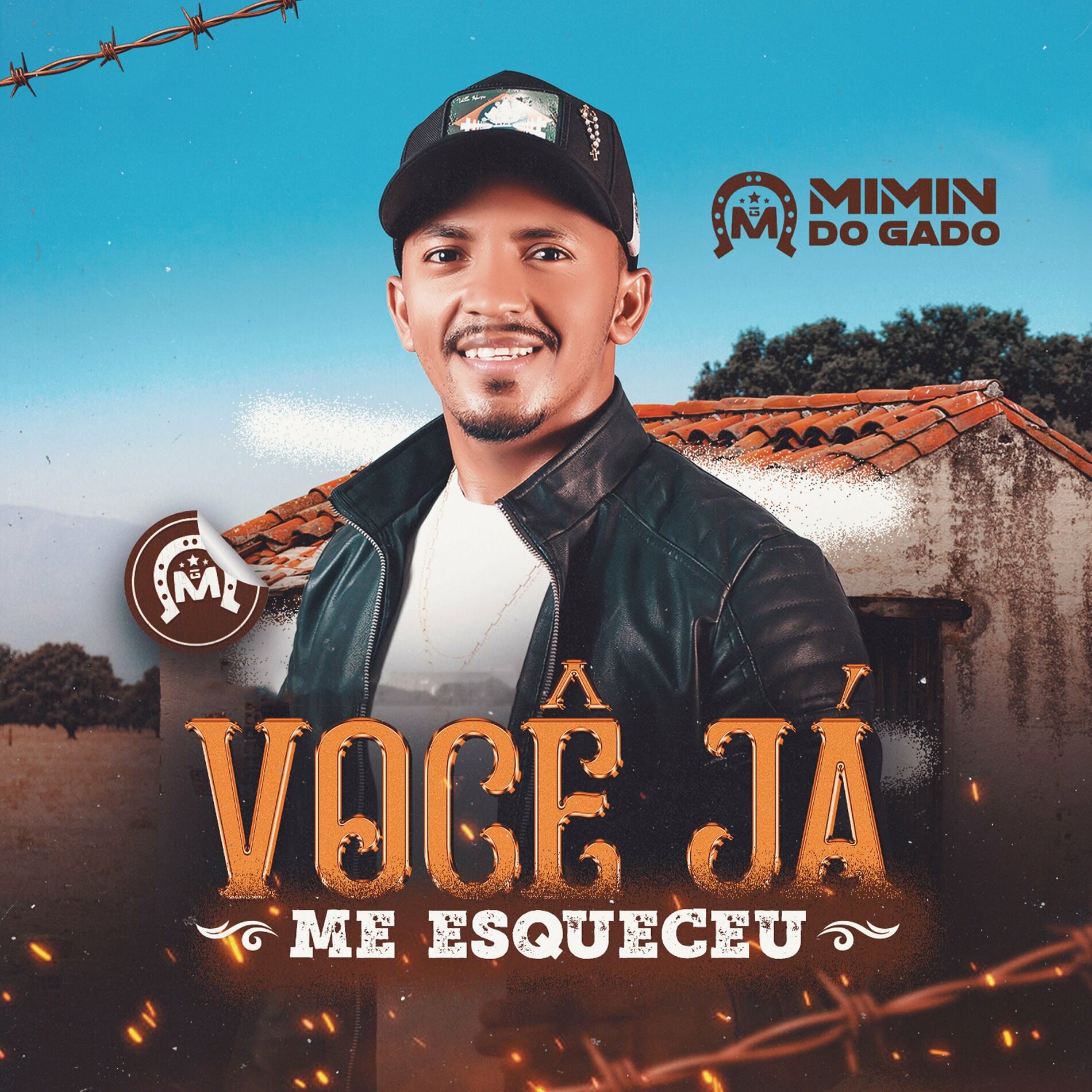 Album cover of Você Já Me Esqueceu