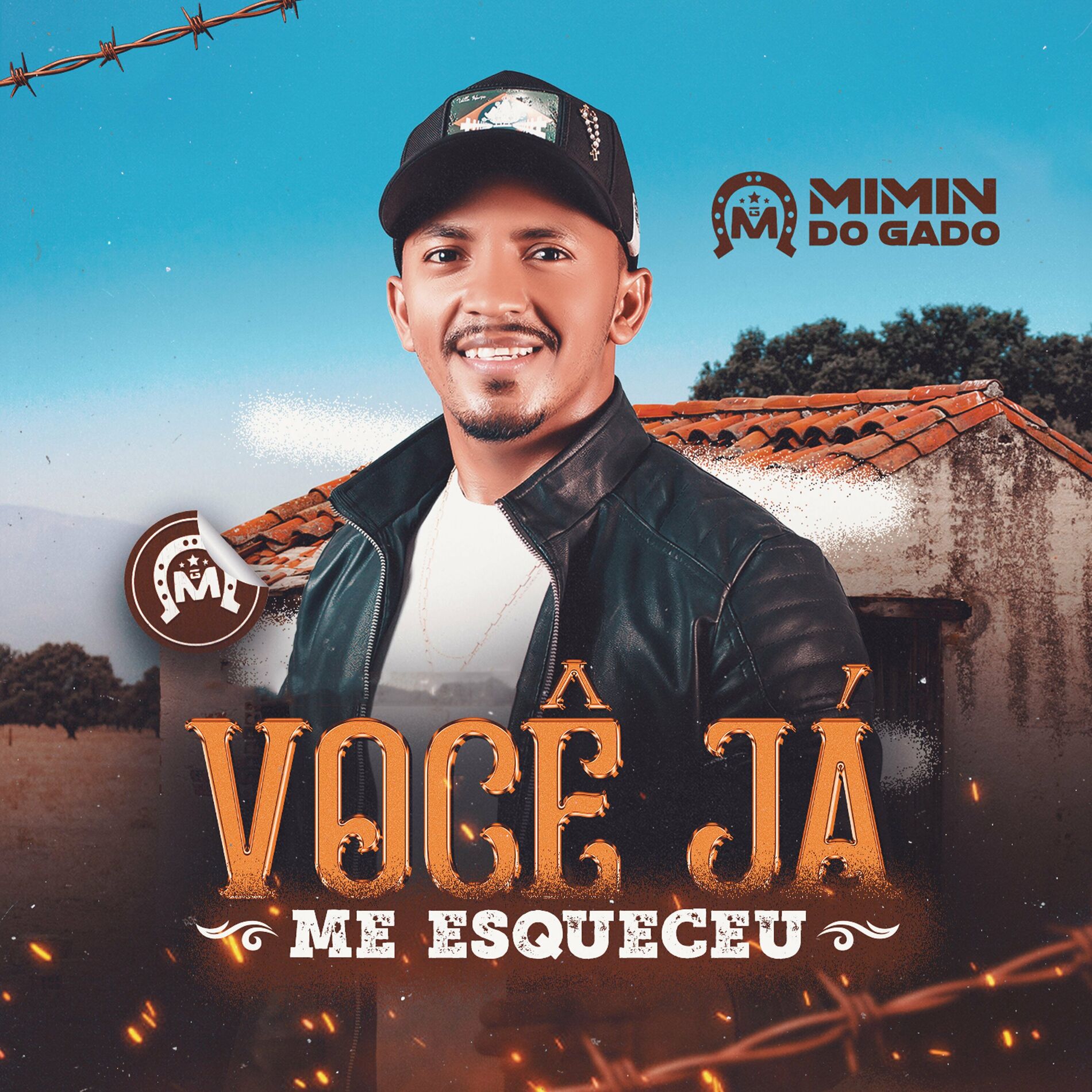 Album cover of Você Já Me Esqueceu