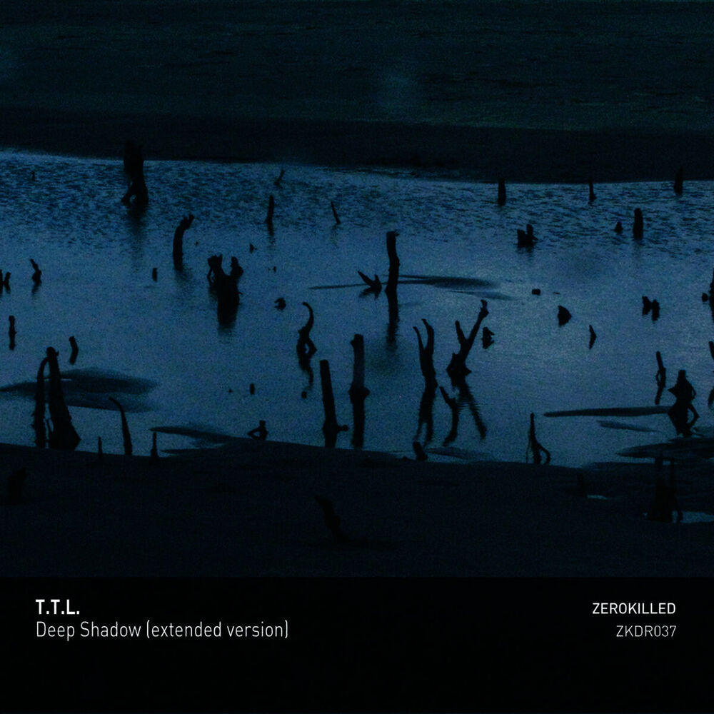 Picture of Deep Shadow (Extended Version)