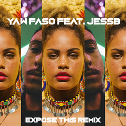 Cover of Expose This (Remix)