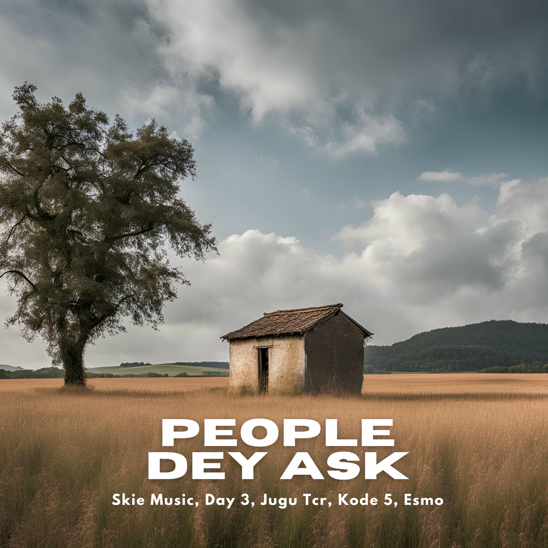 Album cover of People Dey Ask