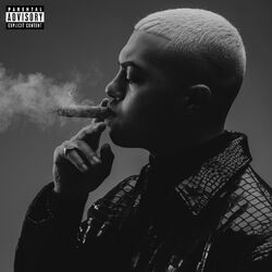 Cover of RAP FACTS