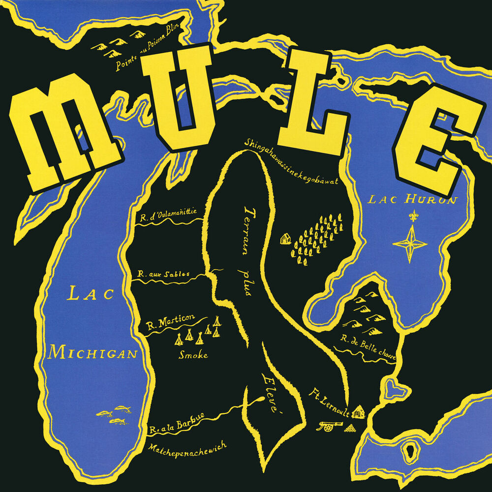 Picture of Mule