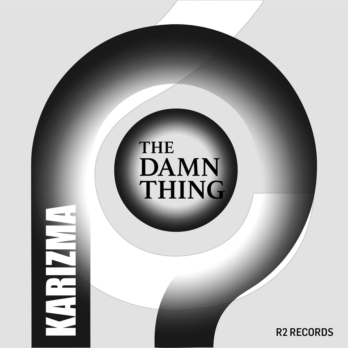 Album cover of The Damn Thing