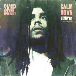 Cover of Calm Down (Acoustic)
