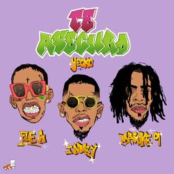 Cover of Te Aseguro