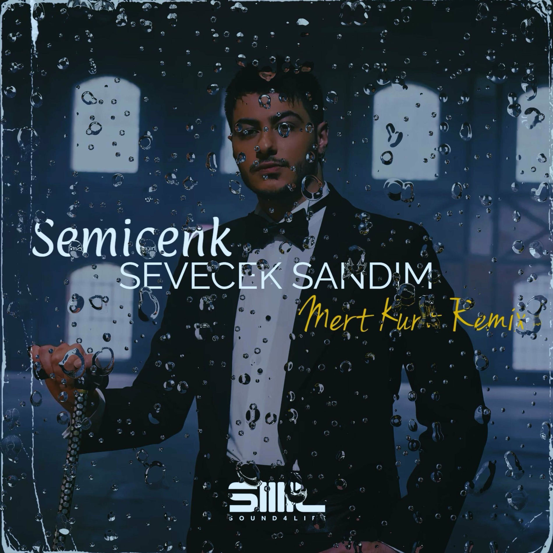 Album cover of Sevecek Sandım (Remix)