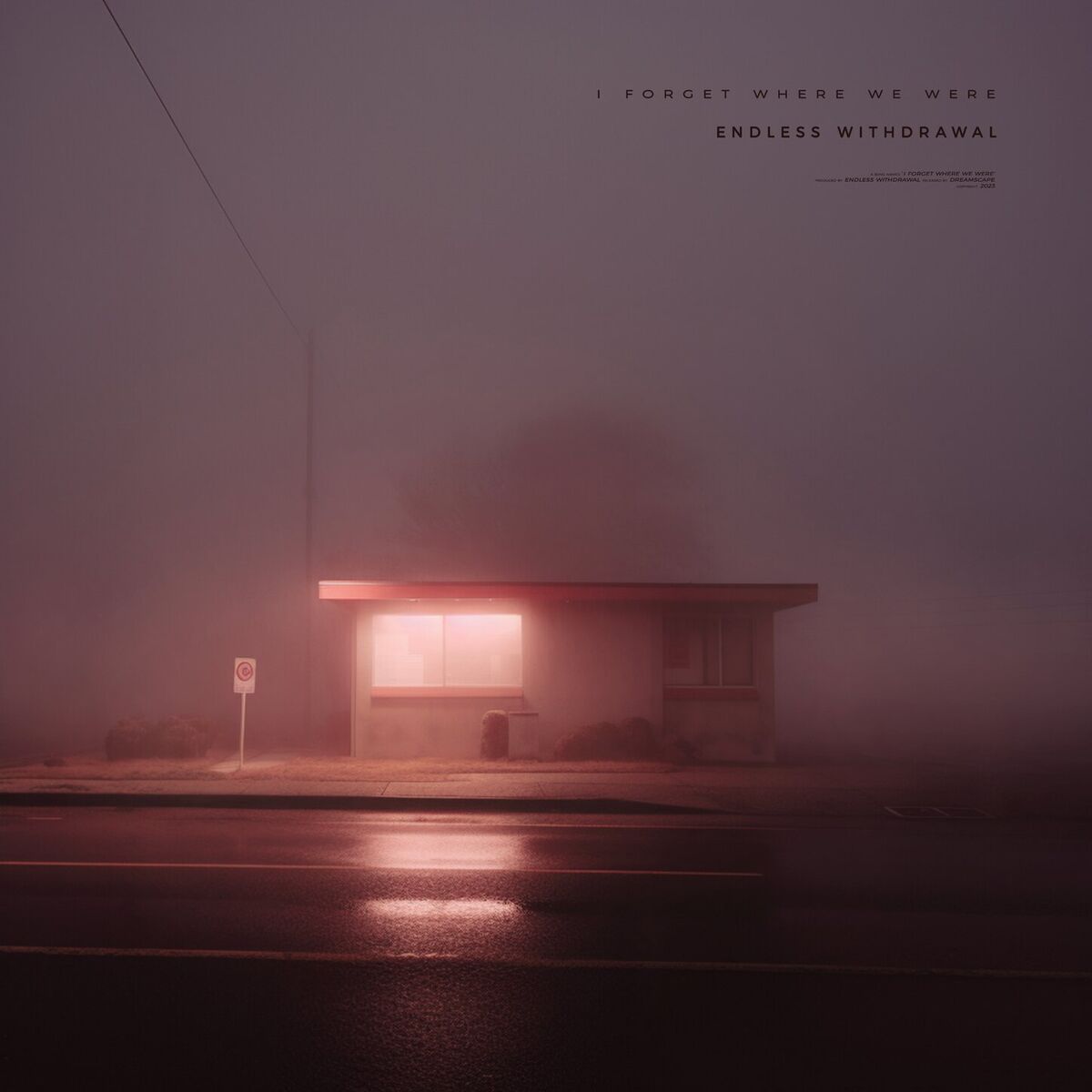 Album cover of i forget where we were