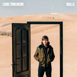 Cover of Walls