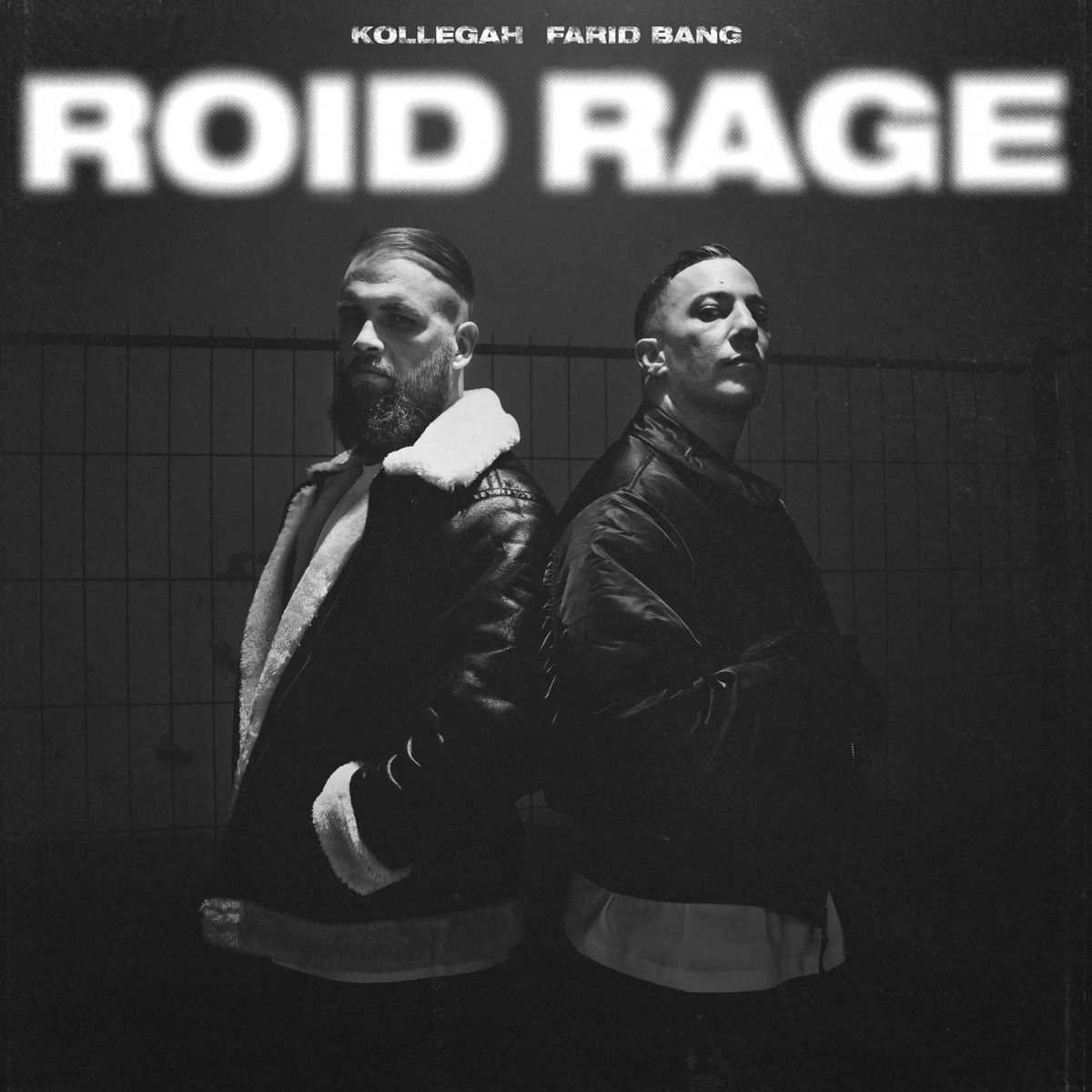 Album cover of Roid Rage