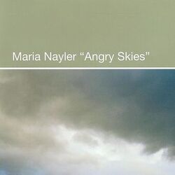 Cover of Angry Skies