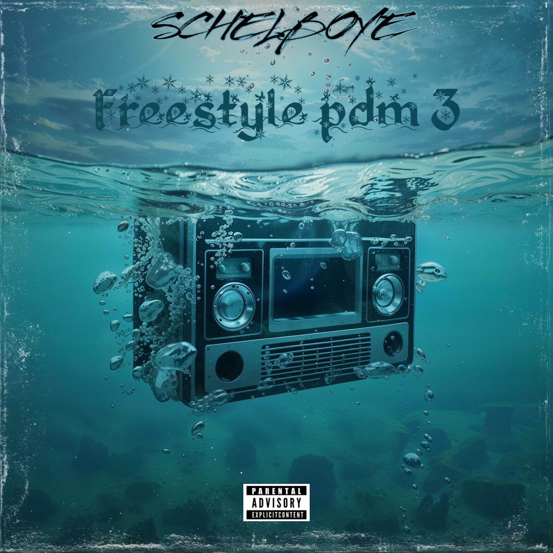 Album cover of Freestyle pdm 3