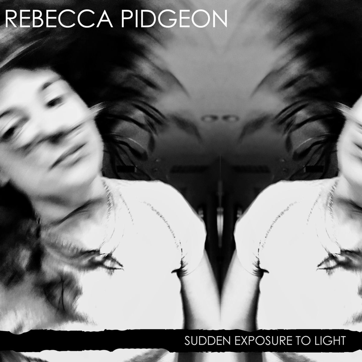 Album cover of Sudden Exposure to Light