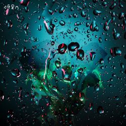 Cover of I've Done