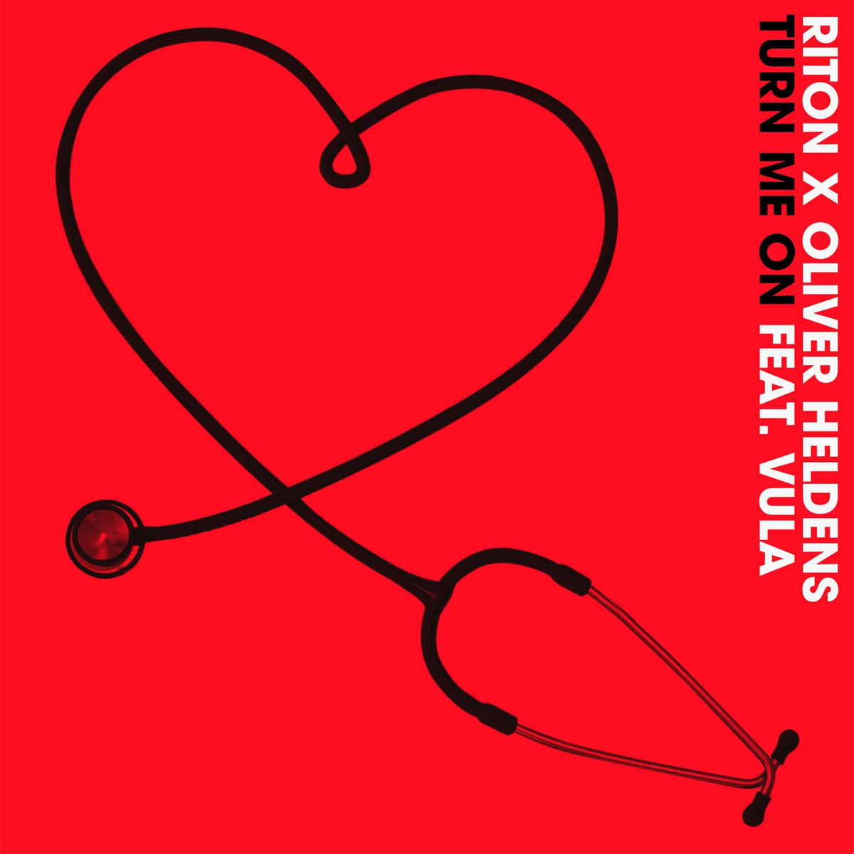 Album picture of Turn Me On (feat. Vula)