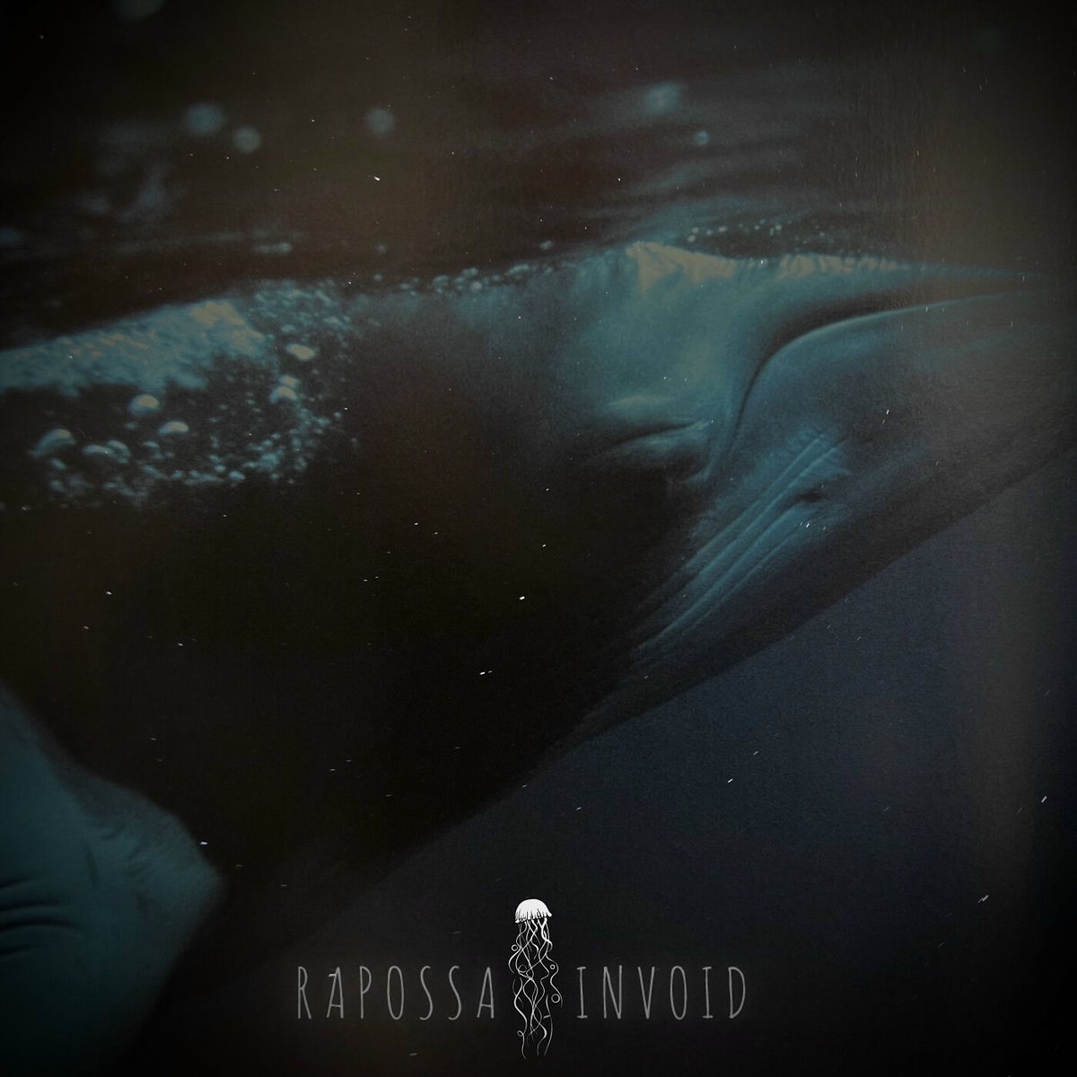 Album cover of Invoid