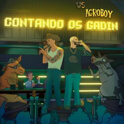 Cover of CONTANDO OS GADIN