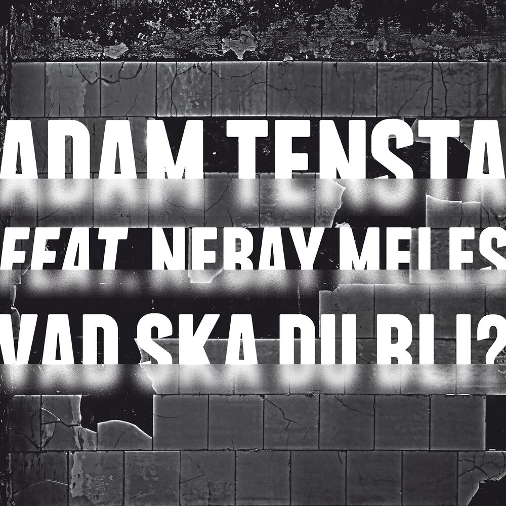 Picture of Vad ska du bli? (feat. Nebay Meles)