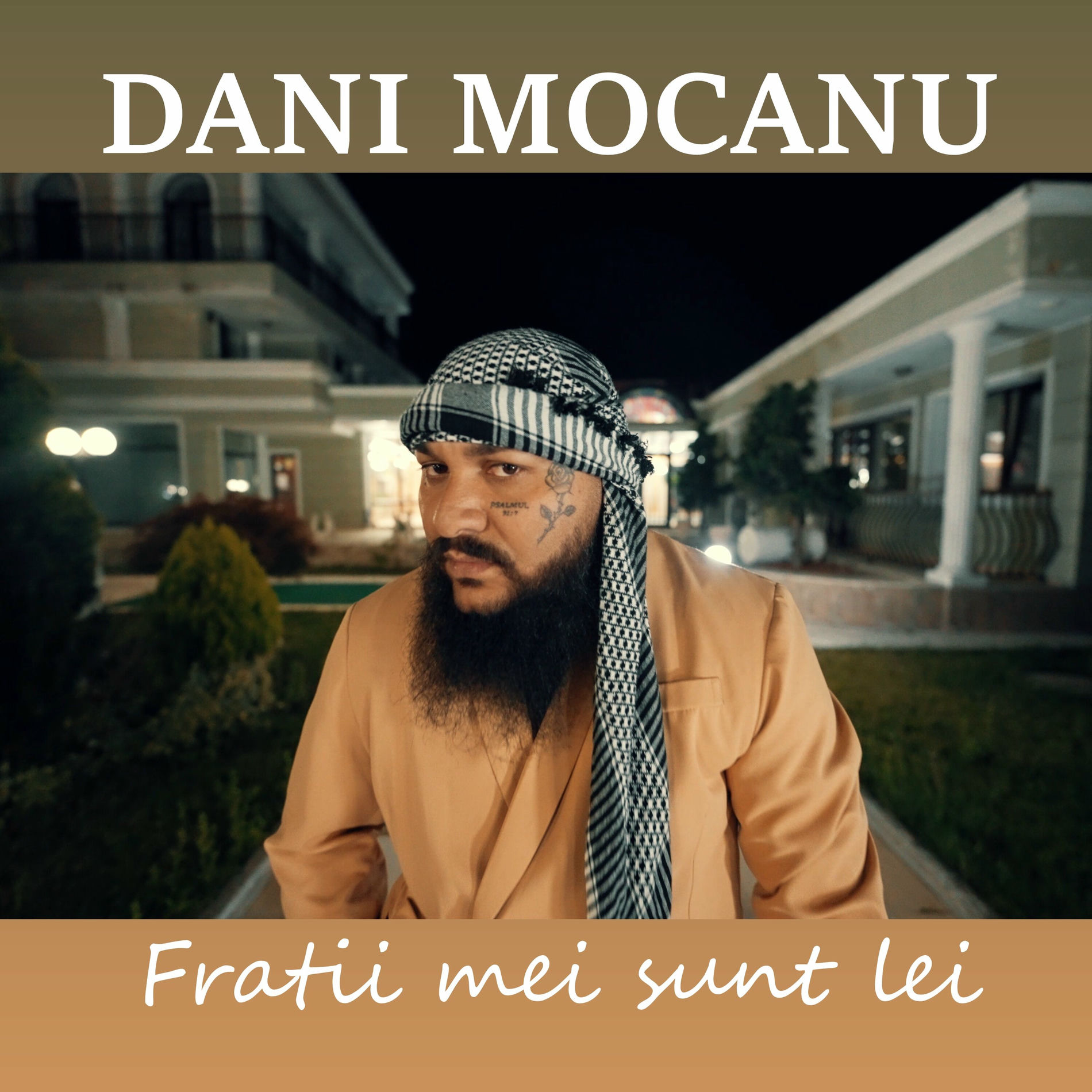 Album cover of Fratii mei sunt lei
