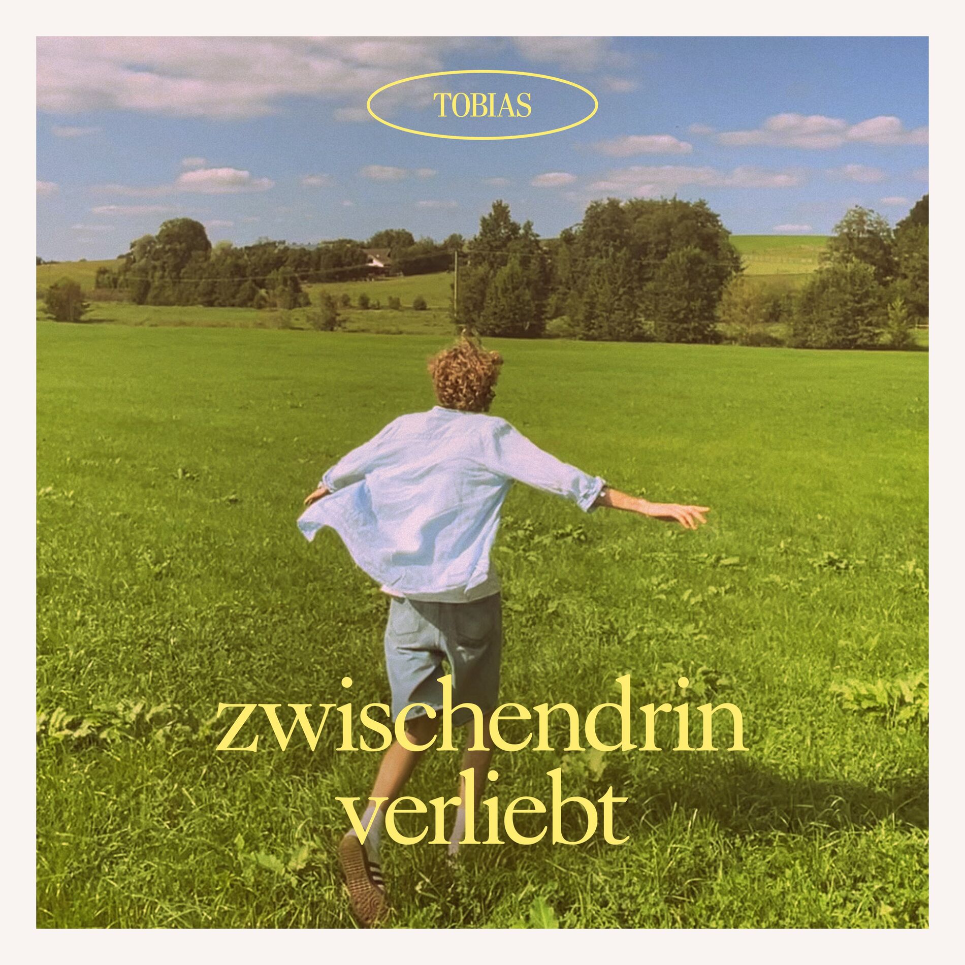 Album cover of zwischendrin verliebt