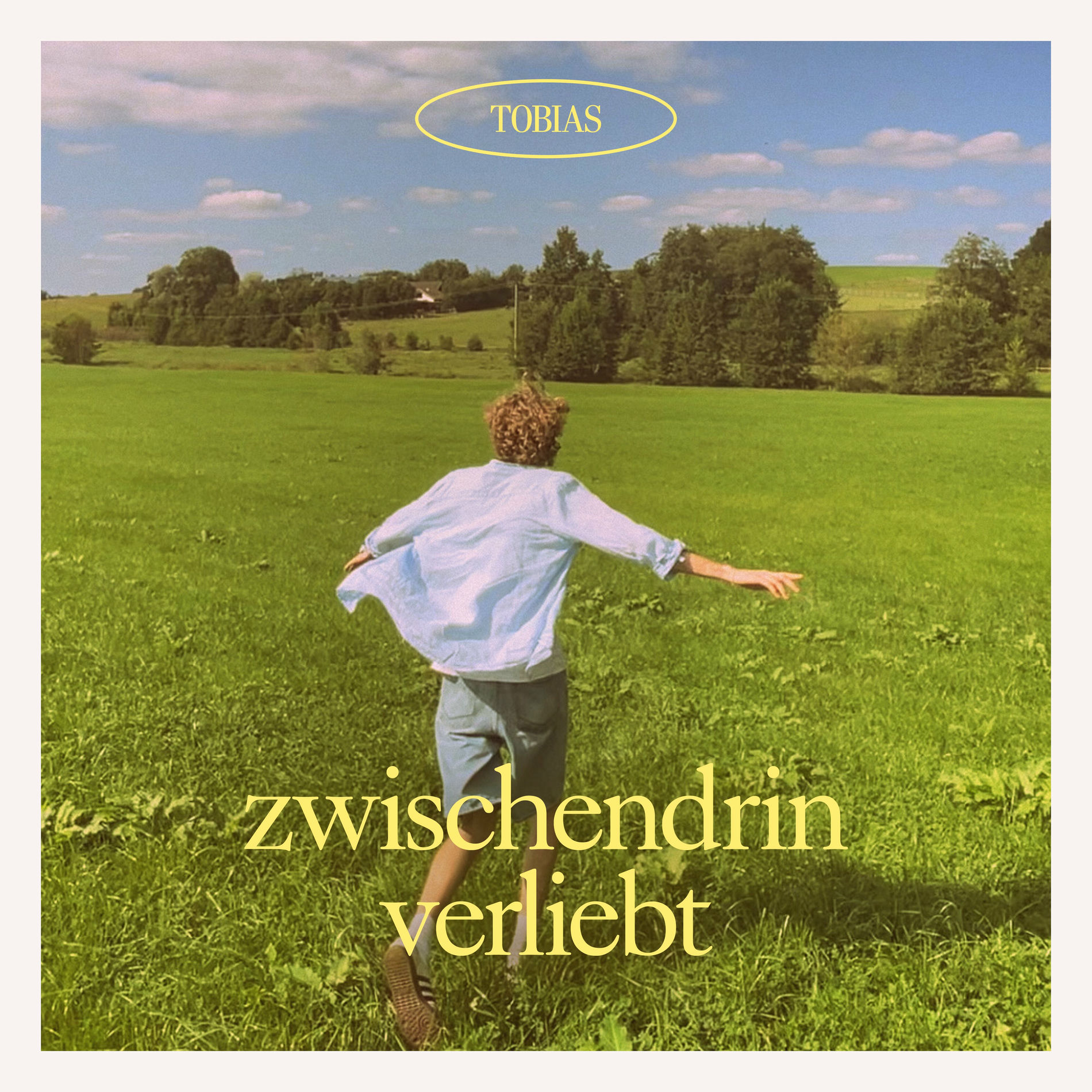 Album picture of zwischendrin verliebt