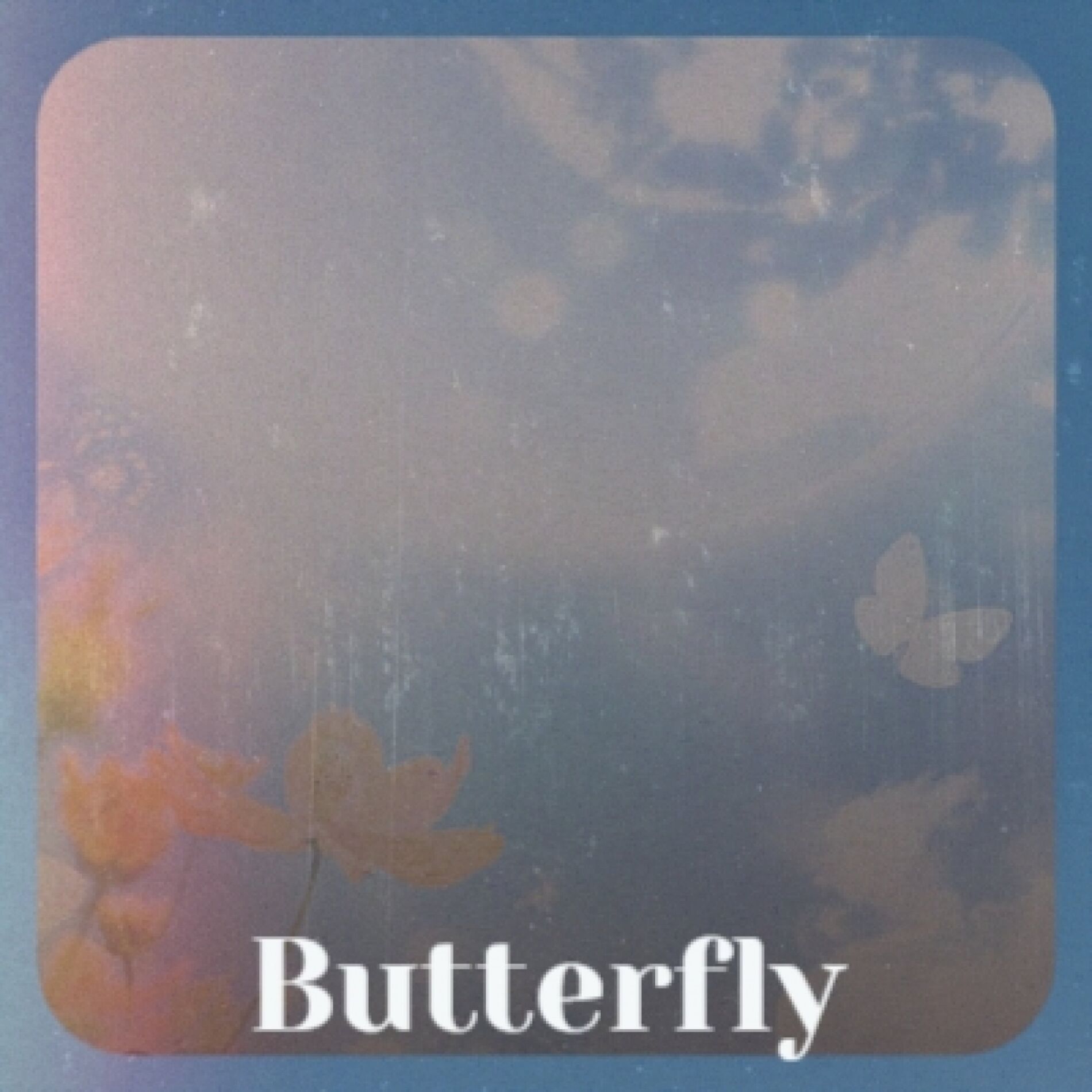 Album cover of Butterfly