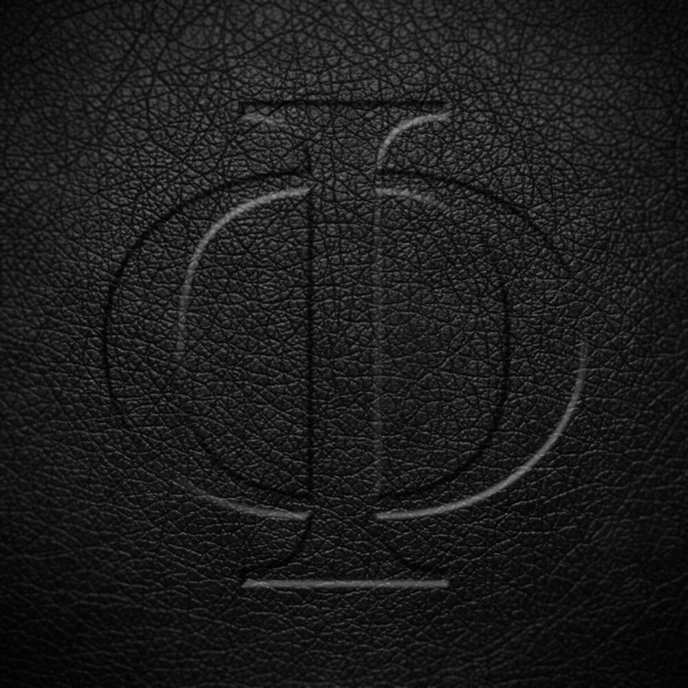 Picture of Codex Phi