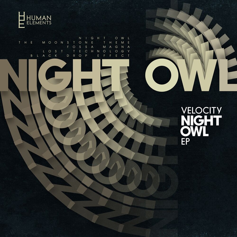 Picture of Night Owl