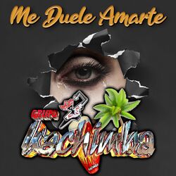 Cover of Me Duele Amarte (Me Dibujaste un Mundo y Nunca Lo Pintaste)