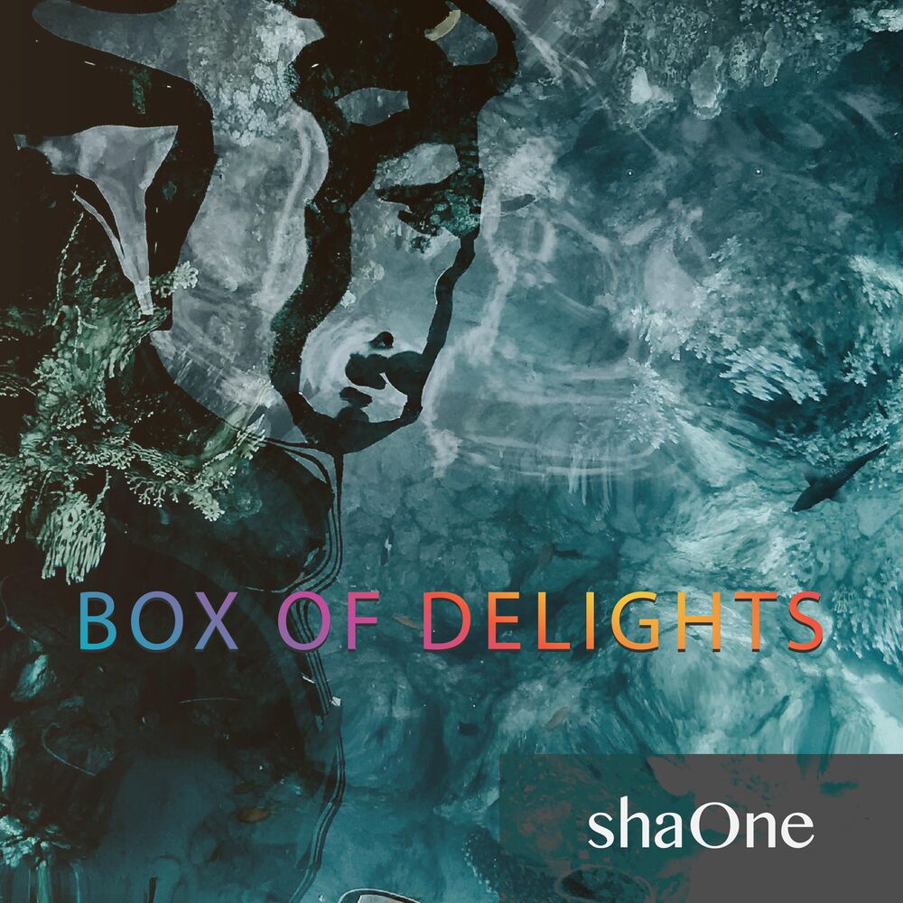 Picture of Box of Delights
