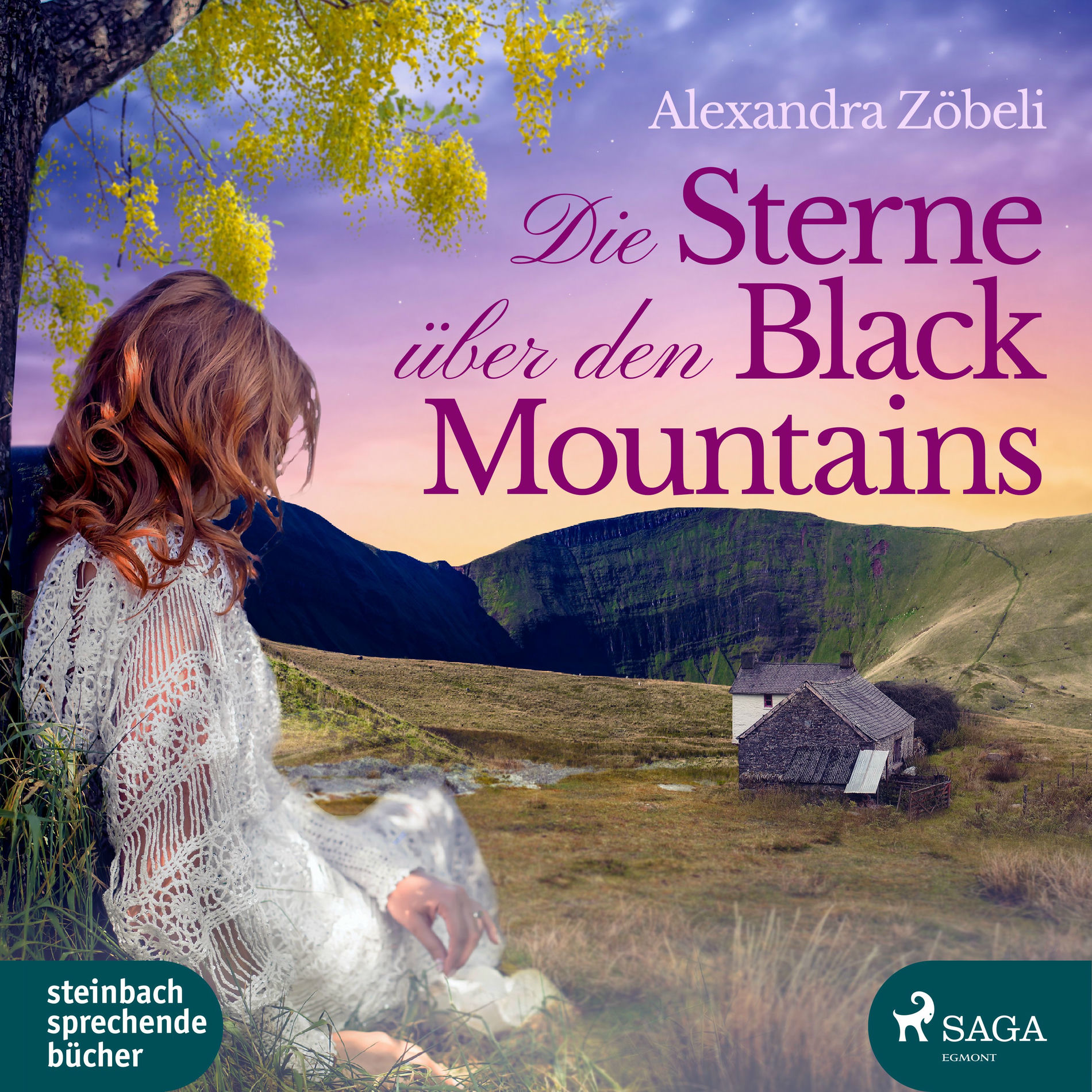 Album cover of Die Sterne über den Black Mountains