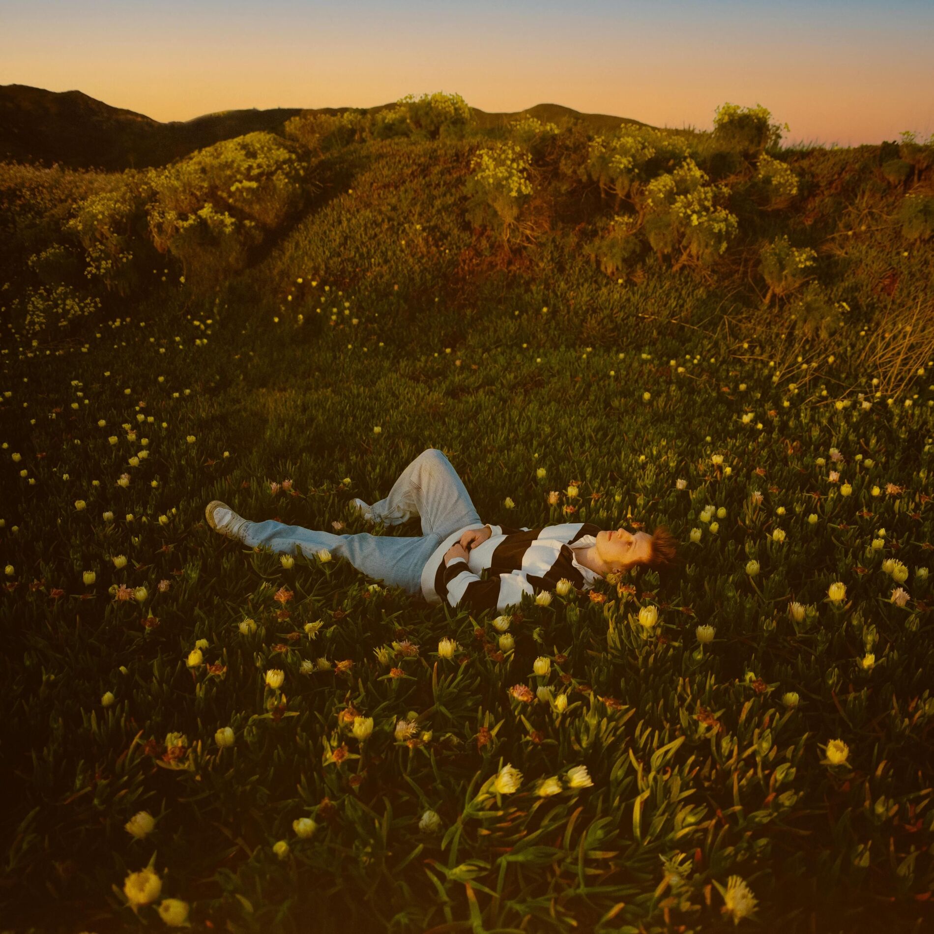 Album cover of muddy