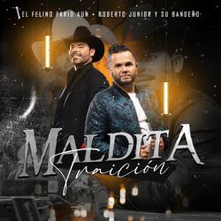 Cover of Maldita Traición